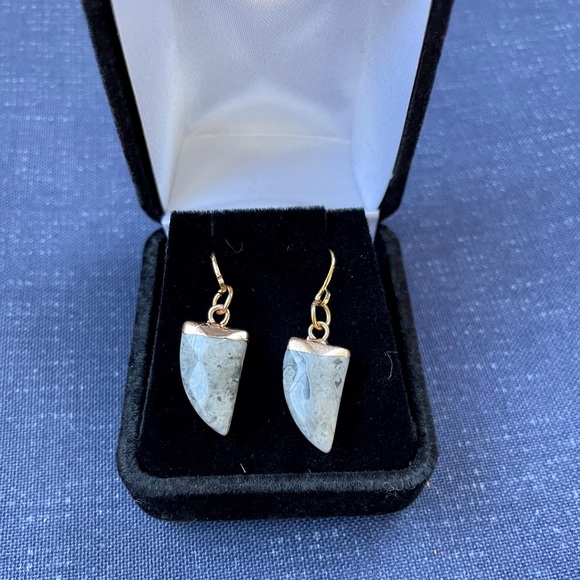 🌻NIB Howlight Gold Dipped Faceted Gemstone Fang Earrings🌻 - Picture 3 of 15